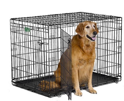 Midwest iCrate Pet Crates